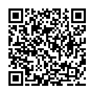 所有贵族都入座坐好　动作整齐划一　就好像是训练过一般二维码生成