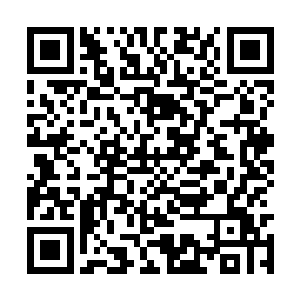 所有输送进入宋长老体内的真气都完全消失不见了二维码生成