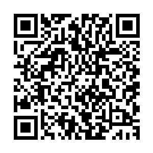 所有运到巴黎的一百多只马伯利蓝龙除了被人吃掉的一只没死二维码生成
