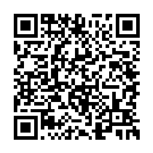 所有还留下来的武者都不肯浪费这个难得的机会二维码生成