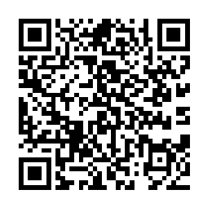 所有队员都在看着上一场太阳系联邦战队横扫马纳拉索的视频二维码生成