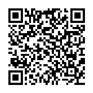 所有雷兽都愤怒的盯着站在血浆上三个目露兴奋的人影身上二维码生成