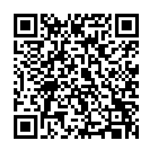 所有青脉天仙都会特别照顾她们……新成的天仙叶青二维码生成