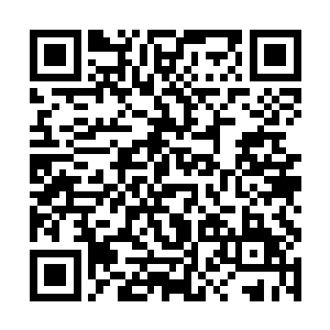 所有龙卷剑气就朝着剑魔师父的枯荣两剑的剑气撞去二维码生成