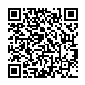 所用的原料也不是达达奇公司宣称的名贵实木白杨荆棘根二维码生成