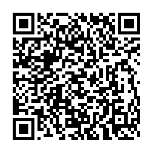 所获得的虚空界石不论是数量上还是质量上都远远超过了其余四个人二维码生成