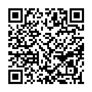 所覆盖的范围也不过是天岚神界中很小的一部分二维码生成