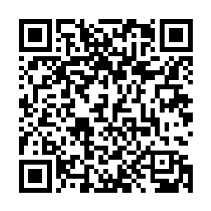 所谓的二等雪露还不是用剩下来的杂质的杂质弄出来的废物二维码生成