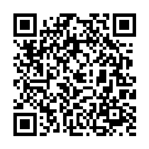 所谓的僵尸龙驹就是把龙驹炼制成了半死半活的僵尸二维码生成