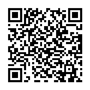 所谓的创世序章乃是当初冷锋谱写的一本先知之书二维码生成