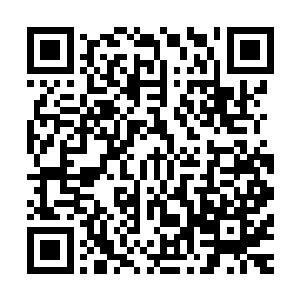 所谓的大量低龄观众产生不适缺乏严谨的实地调查和数据支持二维码生成