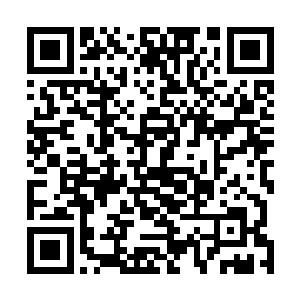 所谓的弱点是对你们这些拥有具体存在形式的生命而言的二维码生成