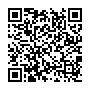 所谓的律法只是这个剧情世界的一个生存法则而已二维码生成