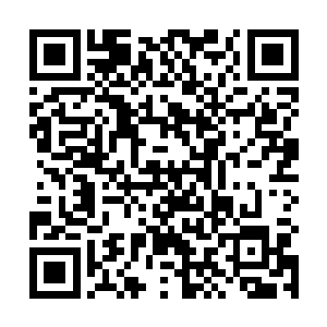 所谓的所有人在剧情世界里都必须遵守这个世界的法则二维码生成