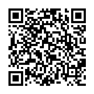 所谓的气色不错那是因为乔荞早上起床的时候化妆了二维码生成