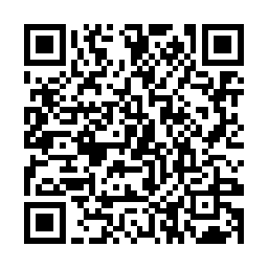 所谓的莫家财团的掌舵人对她来说没有一点的吸引力二维码生成