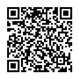 所谓的部长省长可以不在乎一名省部级的校长或者副校长二维码生成