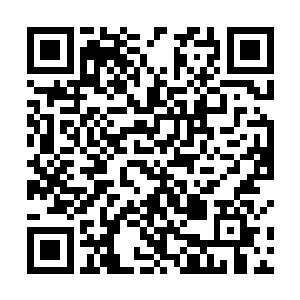 所谓血战魔界的至强者库巴大君都被我恣意践踏在脚下二维码生成