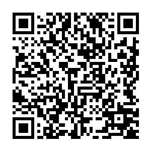 所谓血炼便是利用那些强大人类的鲜血里蕴含的精纯仙云之气作为培基二维码生成