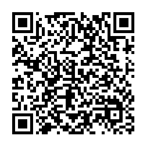 所谓议事堂也就是一个带有毛草顶的大篷放了一些非常原始的长凳二维码生成