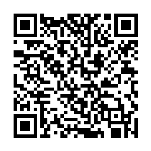 所选择的档期无一例外都是避开了竞争激烈的暑期档二维码生成