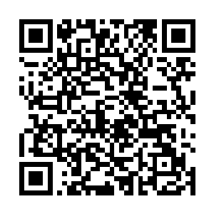 所需的天材地宝以及强化之后的性能参数全都列在上面二维码生成