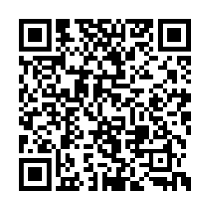 扇轻罗随手就将手上圆珠朝那上品魔王打了出去二维码生成