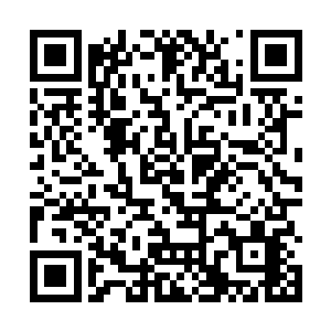 手上也根本不可能像他的掌握了那么多in10通用漏洞二维码生成