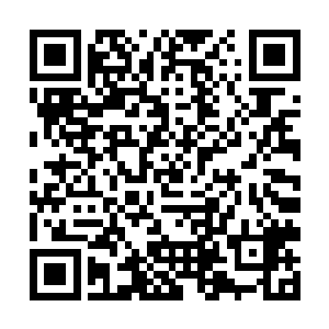 手上掌握着一只非常精锐的特种兵大队……而他自己二维码生成