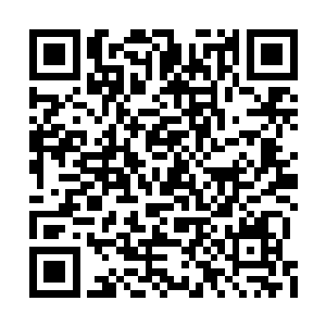 手上摸着的雷隼瞬间就从副驾驶的位置上消失了二维码生成