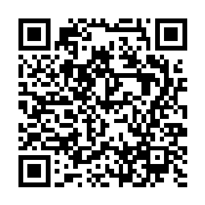手上的手指头都因为这太快的速度而开始出现了骨裂二维码生成