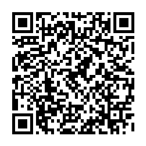 手上那杆如毒蛇吐信般的软质长枪竟以一个不可思议的角度直逼自己而来二维码生成