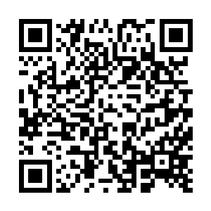 手下的几名工作人员都纷纷劝着王主任赶紧从办公室逃走二维码生成