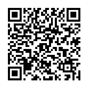 手中一杆黑玉琥珀般的蛟龙枪狂扫射来的灵幻尺影二维码生成