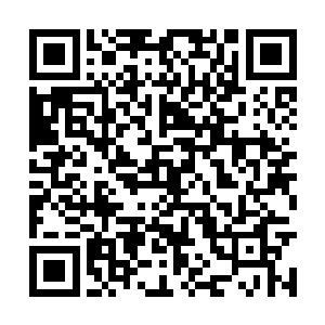 手中出现了几颗散发出一股沁人心脾的香气的丹药二维码生成