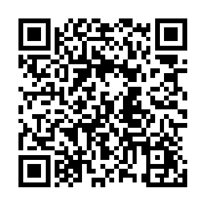 手中剩下的六颗血魂珠一股脑全部朝着龙傲天的身上扔过来二维码生成