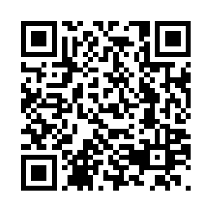 手中只留下少许犬兽护卫自己的安全二维码生成