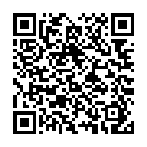 手中弯刀冲着那道缓慢移动的虚影就是一记凶狠的劈斩二维码生成