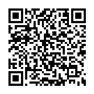 手中托着放着满满的饭菜的托盘静静地看着自己二维码生成
