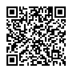 手中抓着的那小半把米下意识地就要往空间里丢二维码生成