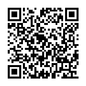 手中拿着几株千年年份的天材地宝给小白虎喂食二维码生成