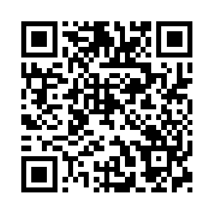 手中持的和第二元神分身一模一样的法印二维码生成