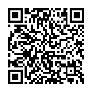 手中持着的白芒长剑在空中掠过一条淡淡的虚影二维码生成