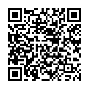 手中接过一名战士递来的望远镜将望远镜放在眼前二维码生成