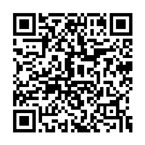 手中更是有着疑似东皇太一部分道果的妖异血桃二维码生成