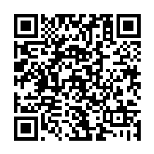 手中的刺神匕的匕身一下一下的拍在乐洋的脑袋上二维码生成