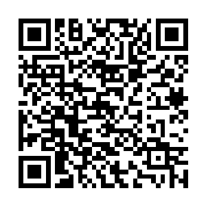 手中的太虚剑向着其中的一个仙狱修士斩杀了过去二维码生成