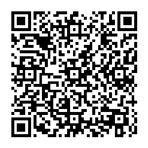 手中的如意金箍棒也瞬间化作漫天的金色的棍影直接朝着血刃几个人的身上笼罩过去二维码生成