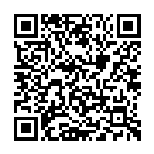 手中的幻影分光刃已散发出一股阴冷冰寒的气息二维码生成