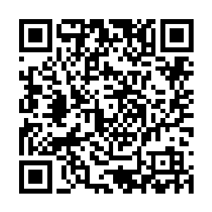 手中的花束就好像炸弹一样在同学们之间丢来丢去二维码生成